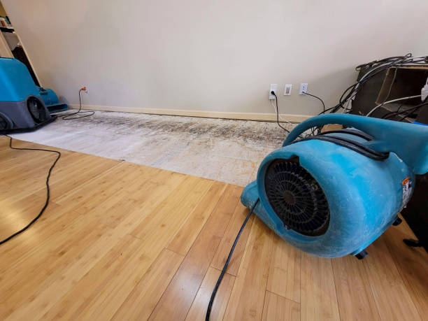 Professional Water Damage Repair technician working in Rossville, KS