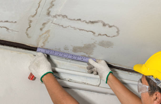 Affordable Water Damage Repair solutions in Rossville, KS